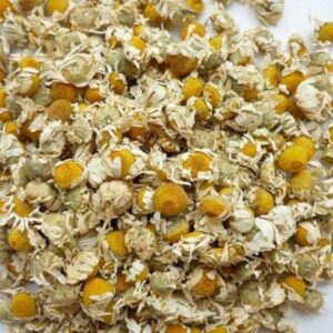 CHAMOMILE