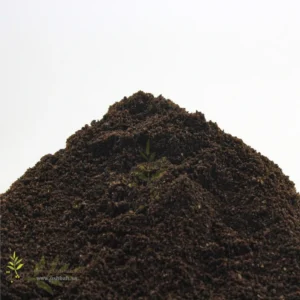 GROUND DRIED BLACK LEMON