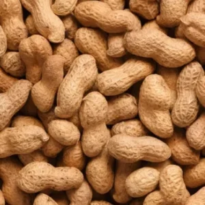 PEANUTS IN SHELL
