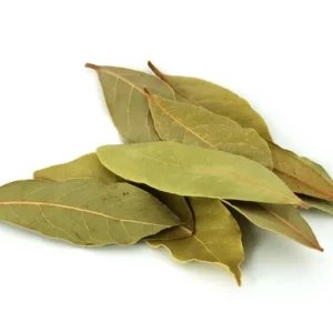 GUAVA LEAF